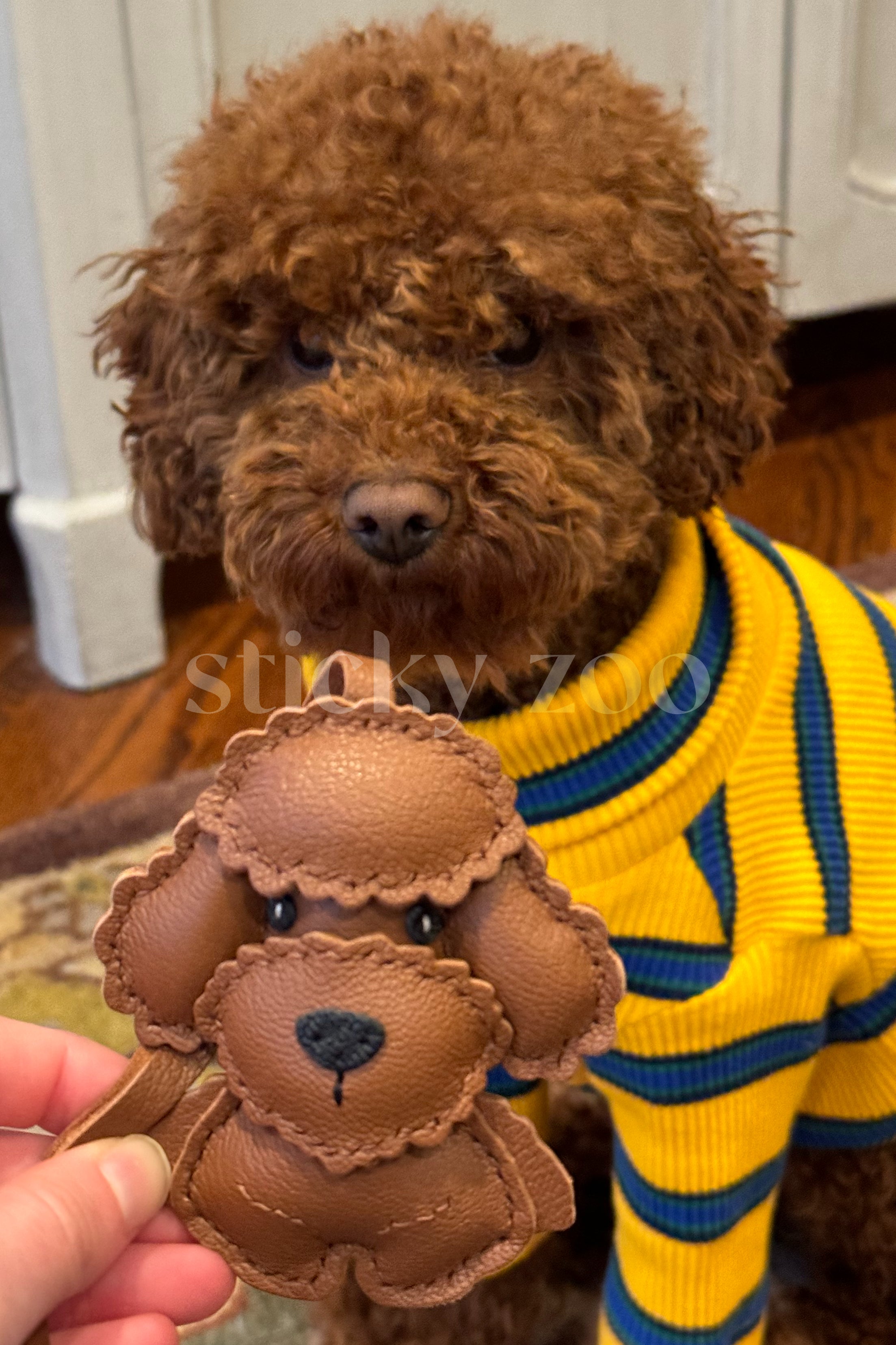 POODLE TEDDY CHARM