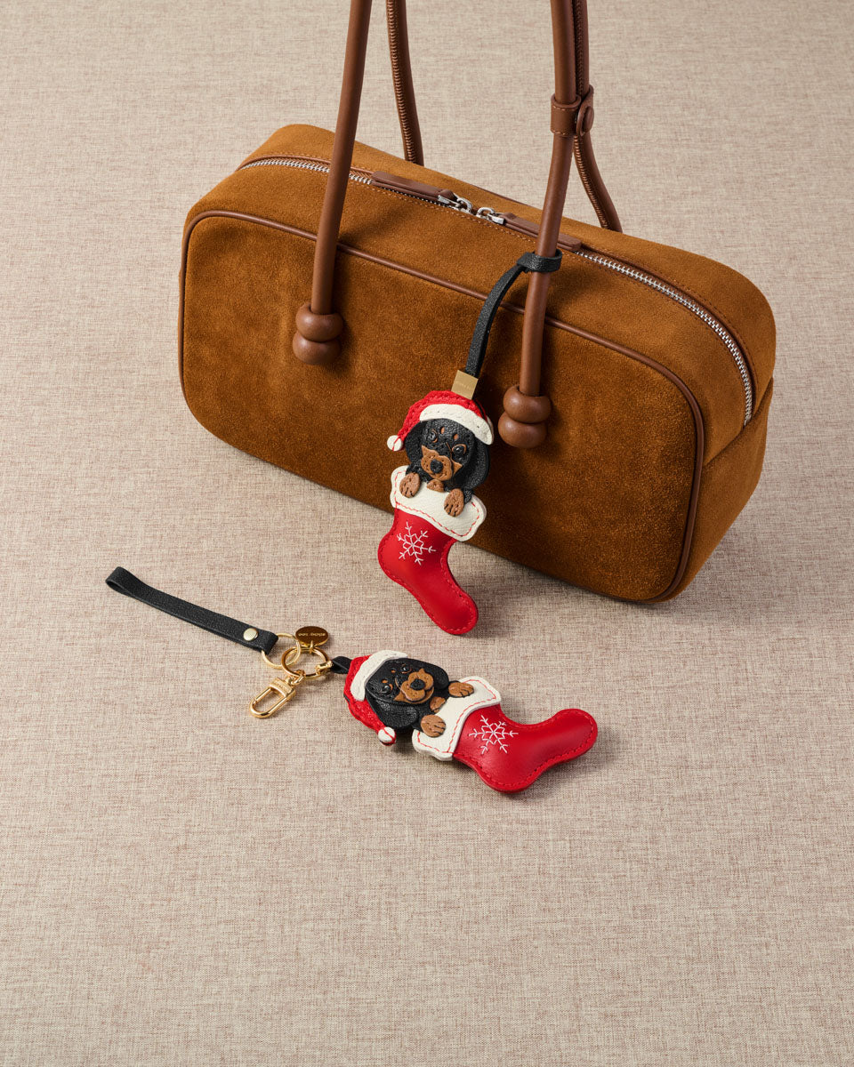 SANTA DACHSHUND STOCKING