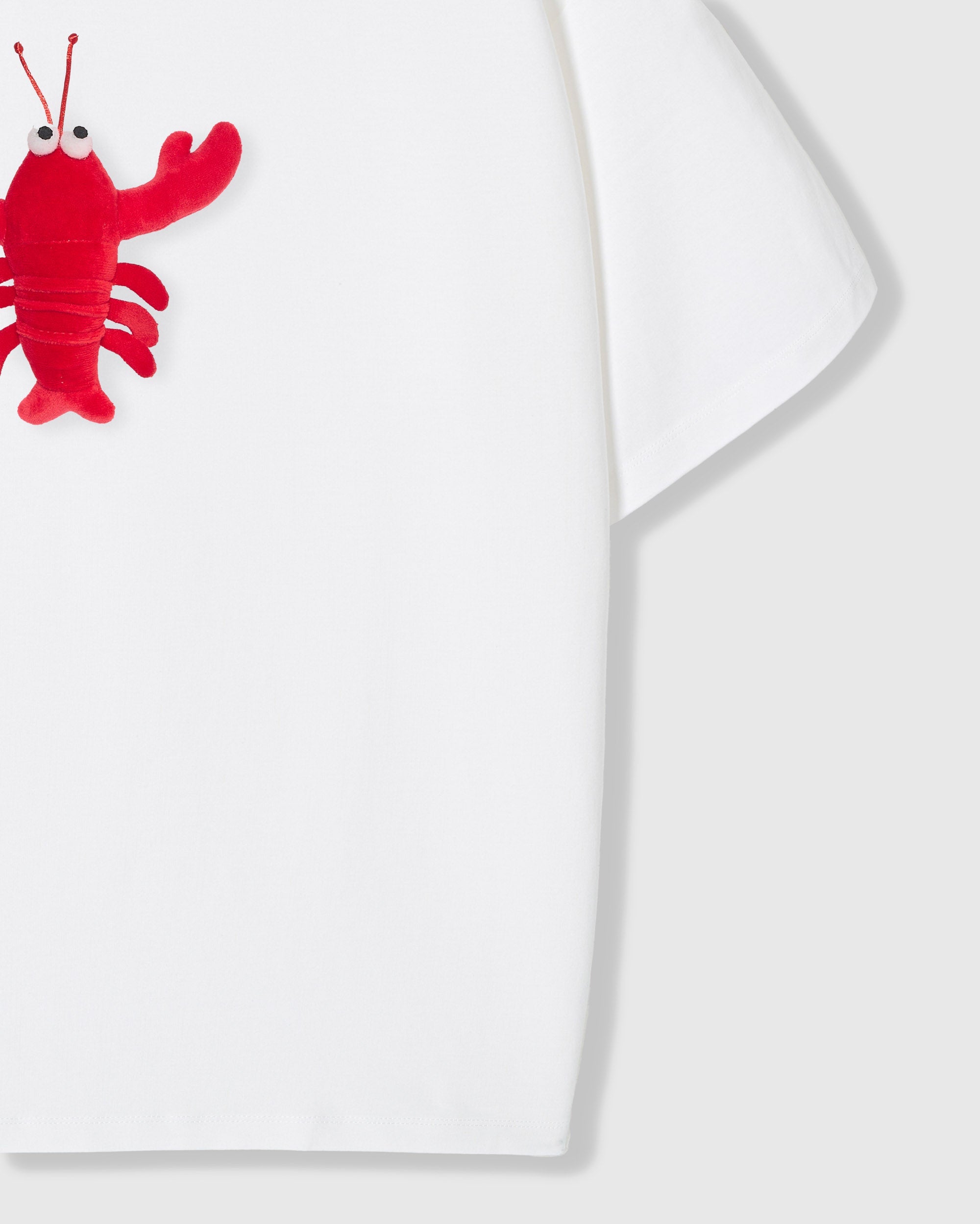 TSHIRT NA YUMAKAP NA HIPON