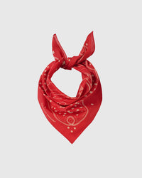 CRIMSON HORSESHOE NA SELYANG SELYAS