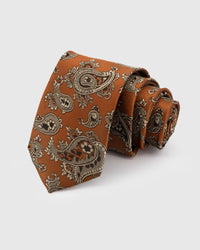 AMBER PAISLEY TIE