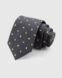 SLATE PAISLEY TIE