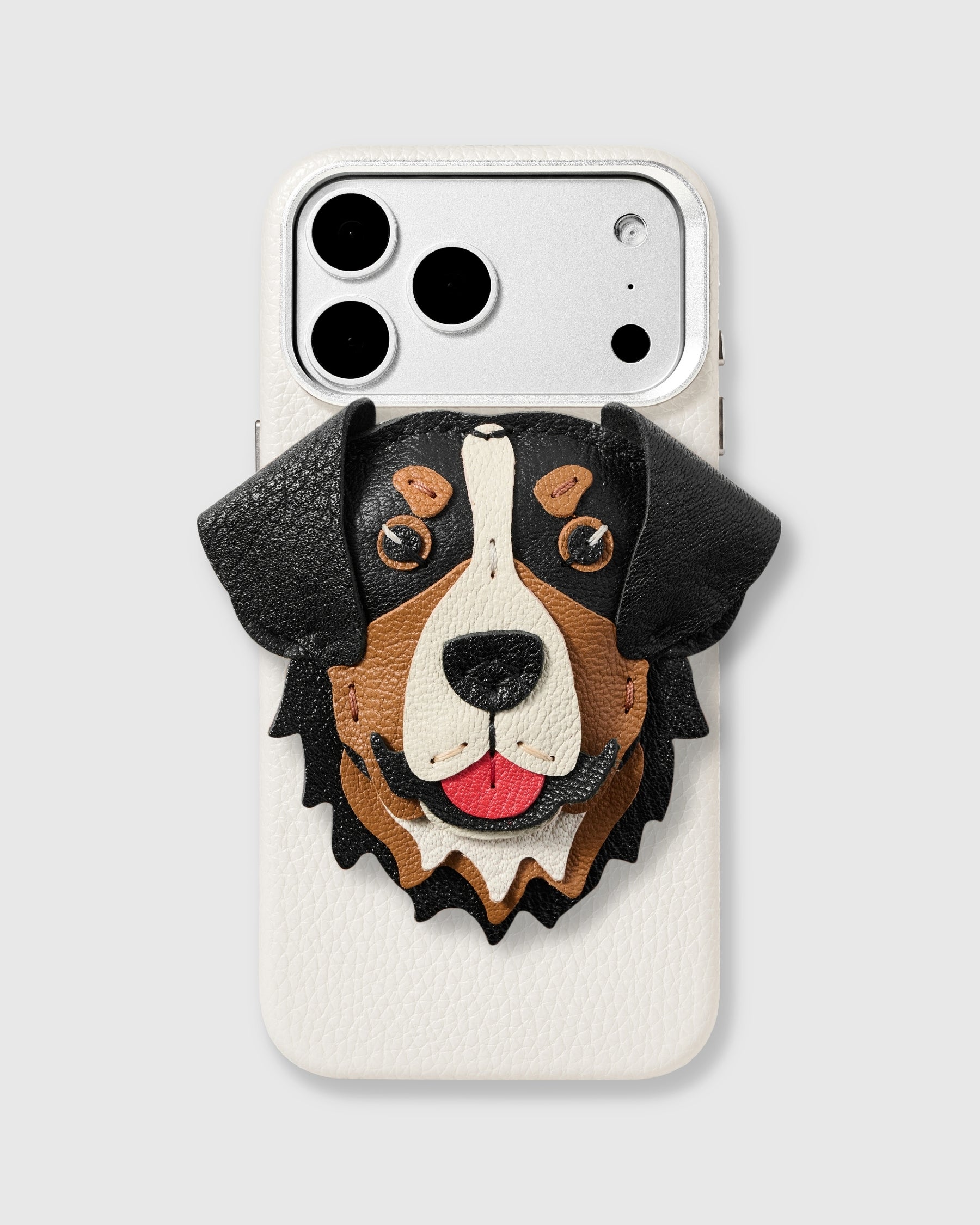 MOUNTAIN CHARM CASE
