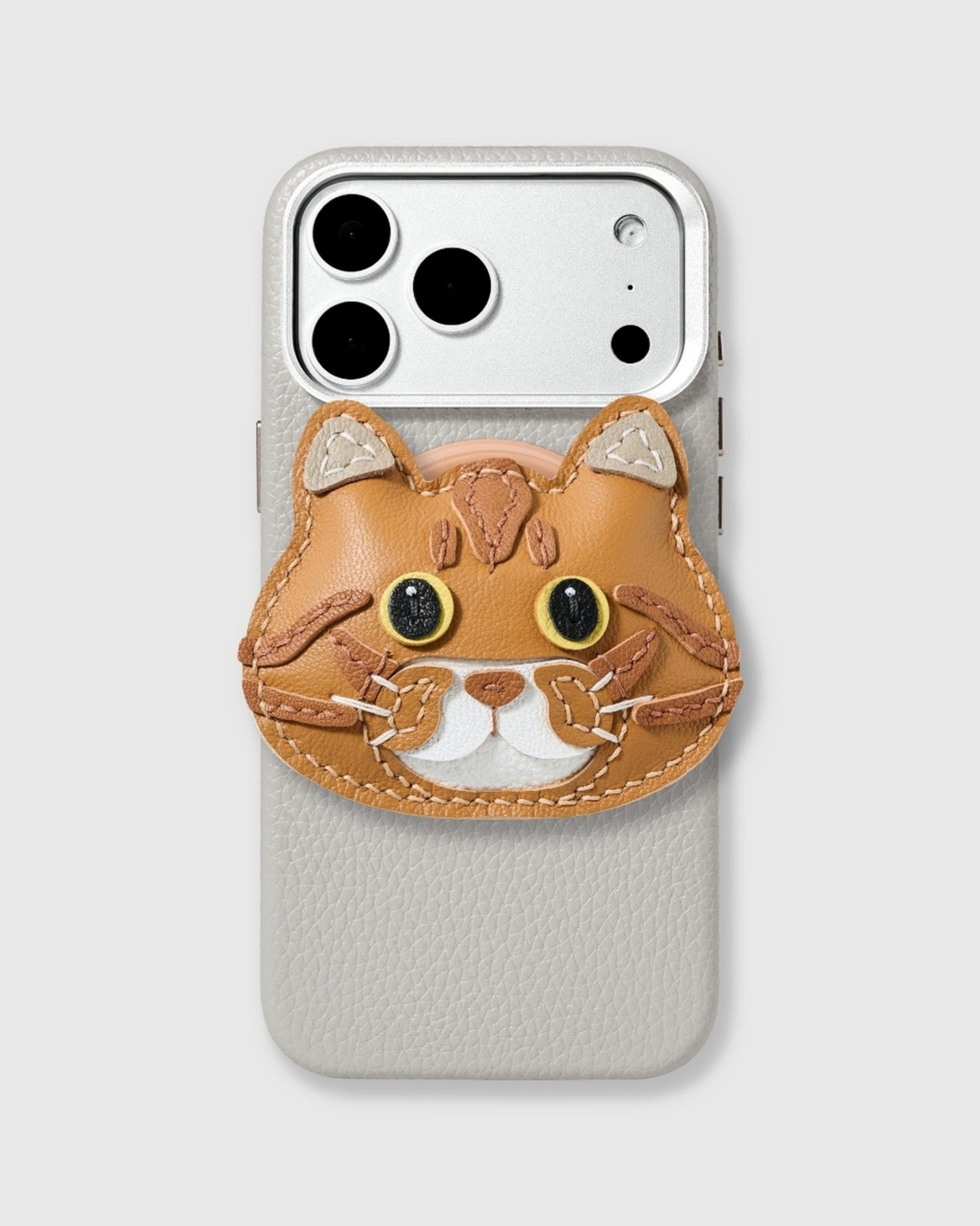 CASE NG CHARM NG PUSANG BRITISH SHORTHAIR