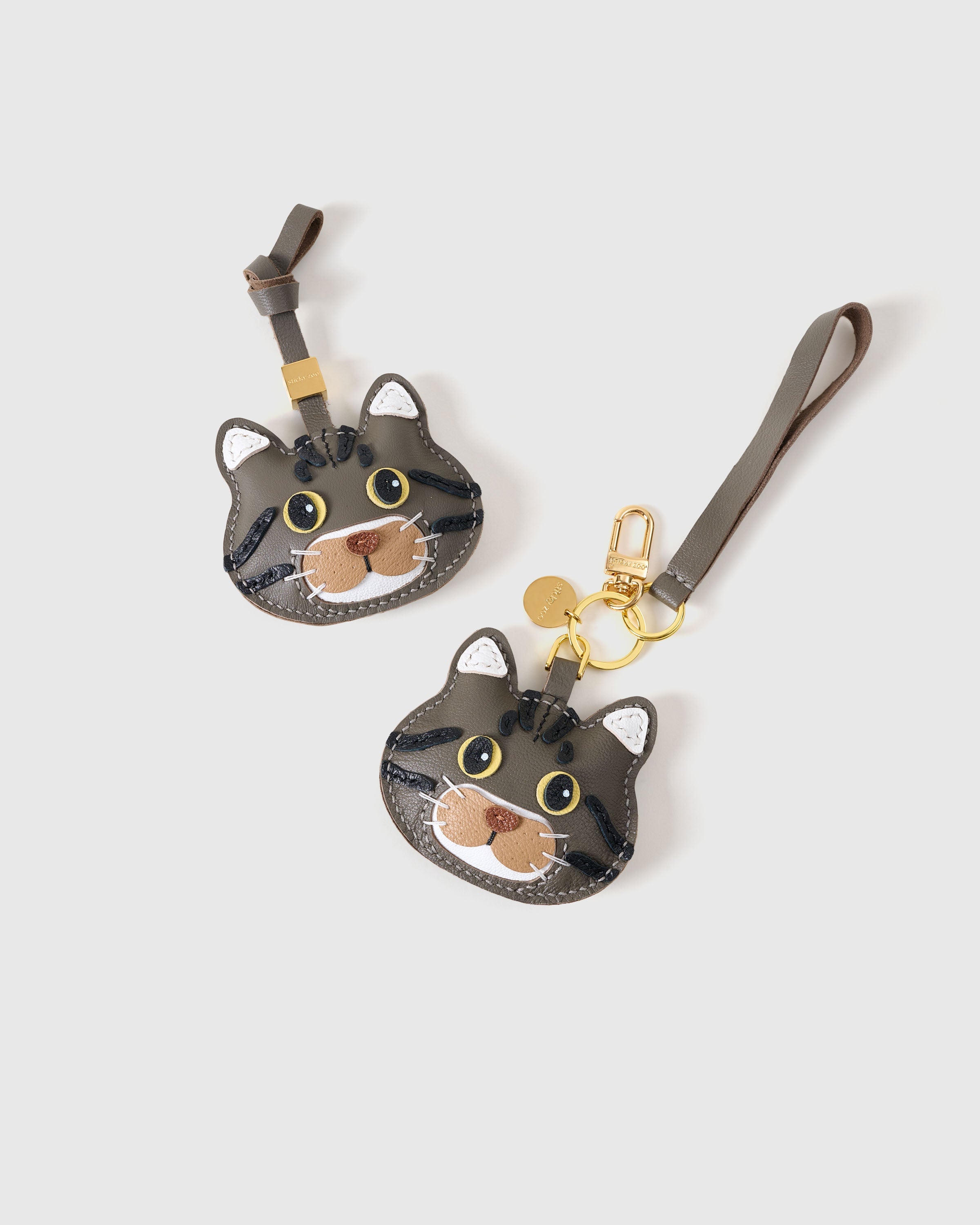CHARM NG AMERICAN SHORTHAIR NA PUSA