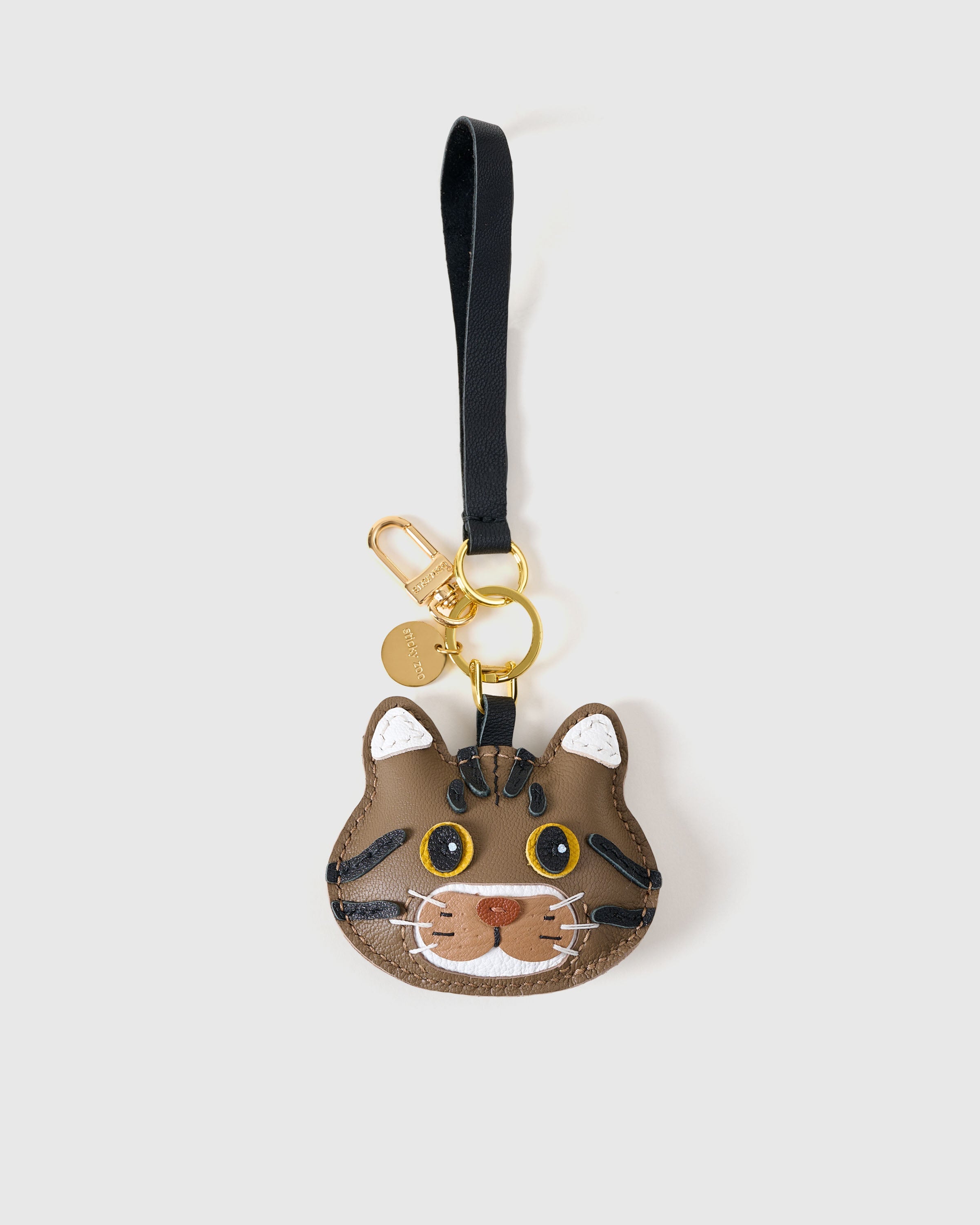 CHARM NG AMERICAN SHORTHAIR NA PUSA