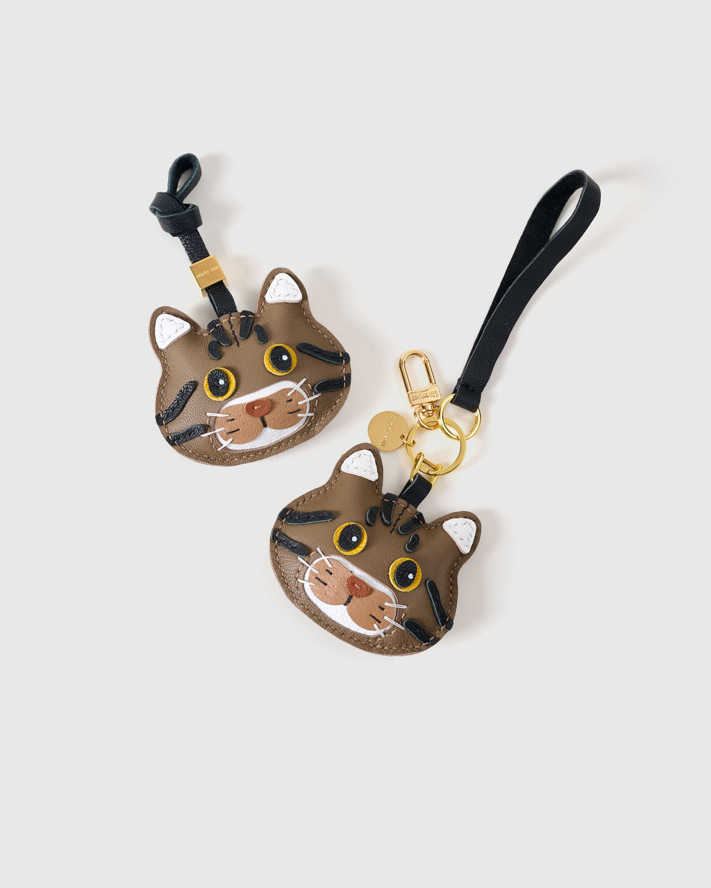 CHARM NG AMERICAN SHORTHAIR NA PUSA