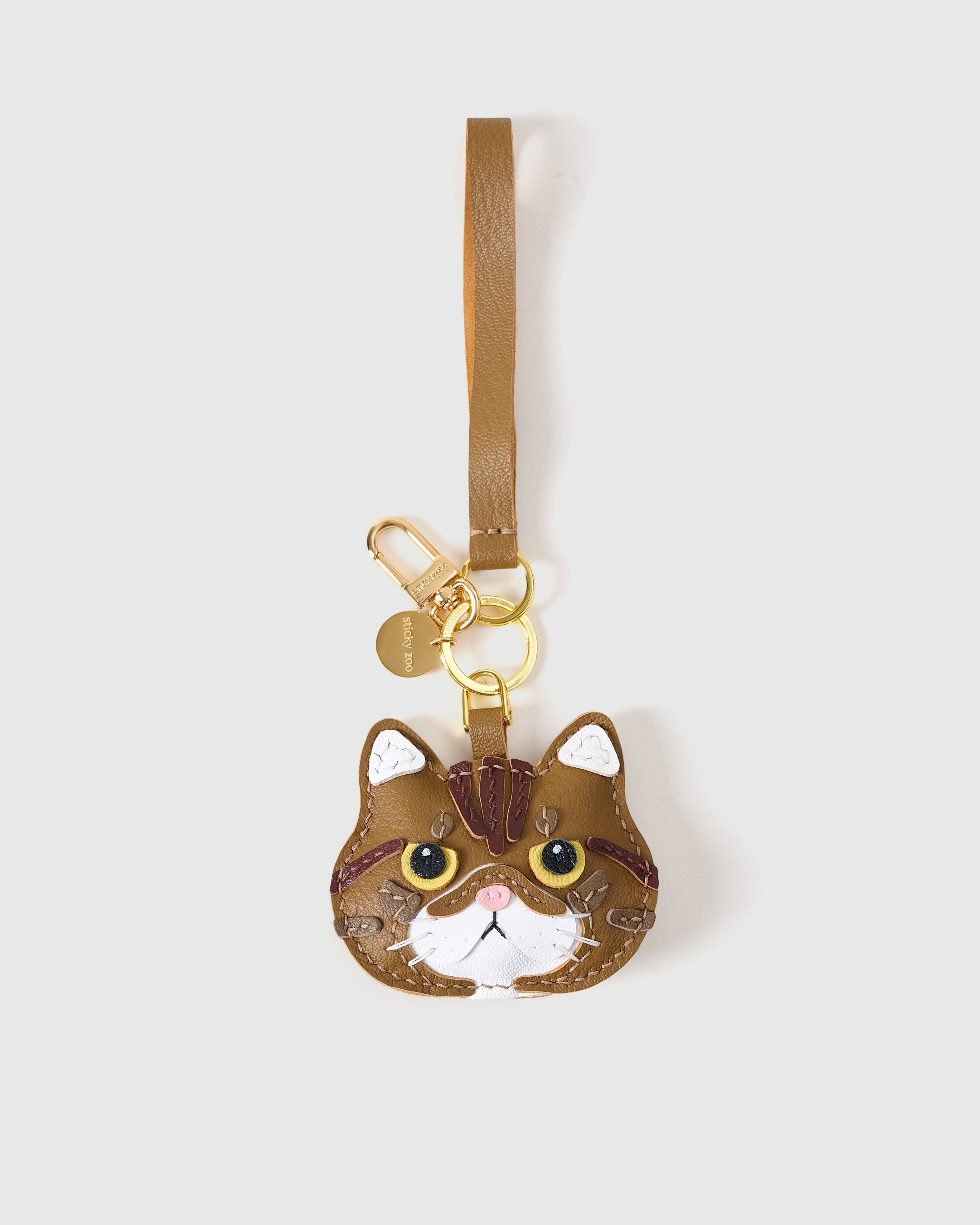 CHARM NG EXOTIC SHORTHAIR NA PUSA