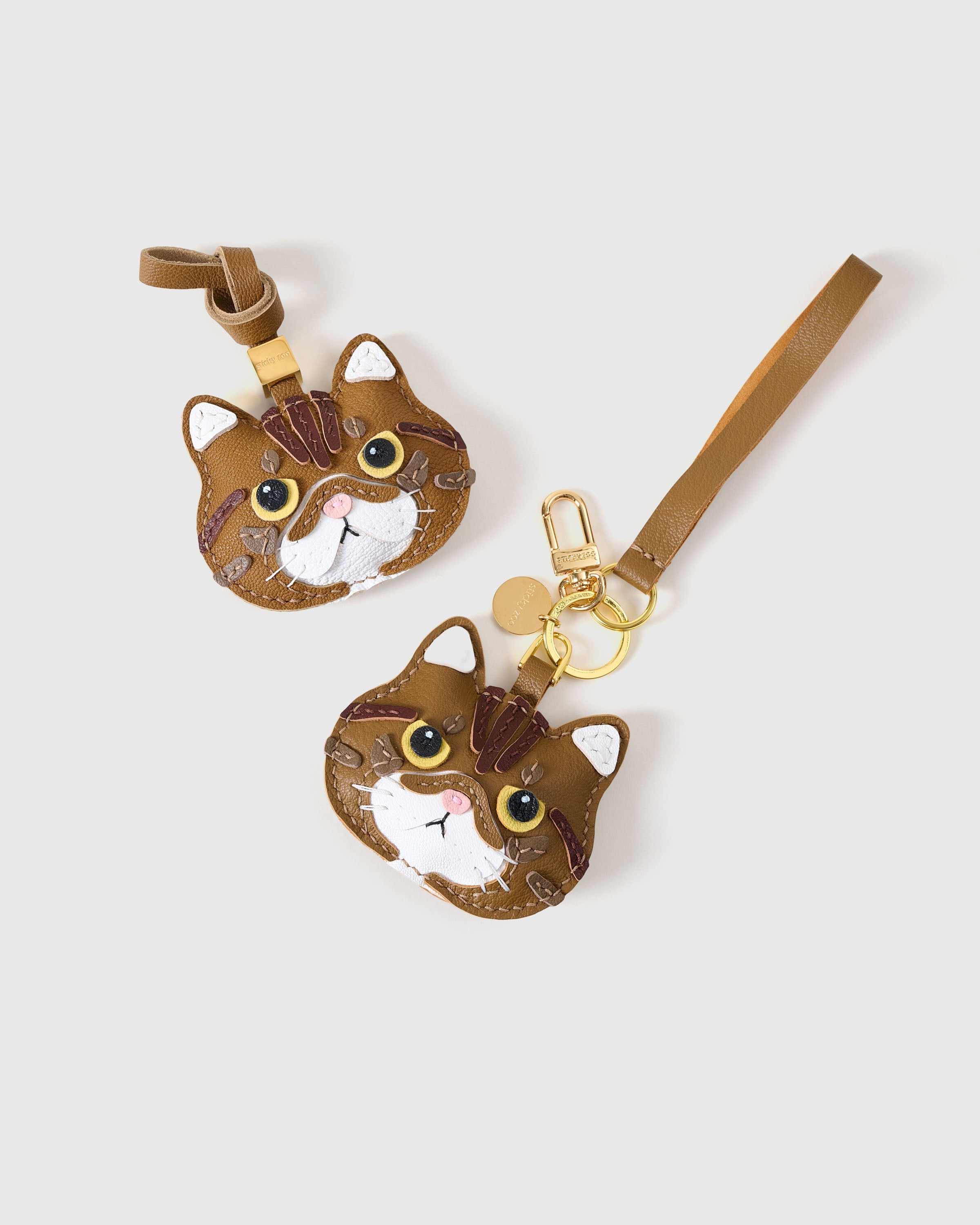 CHARM NG EXOTIC SHORTHAIR NA PUSA