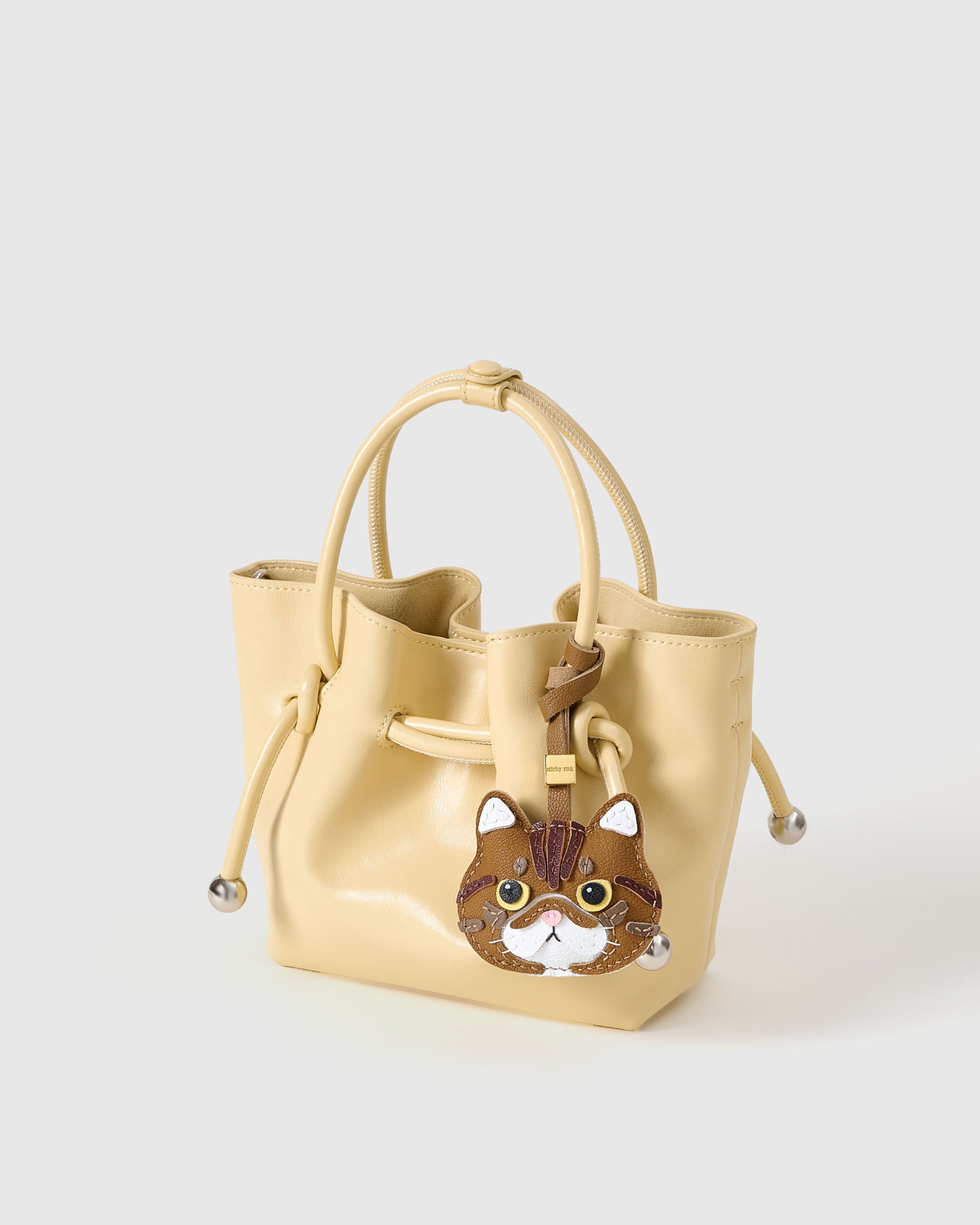 CHARM NG EXOTIC SHORTHAIR NA PUSA