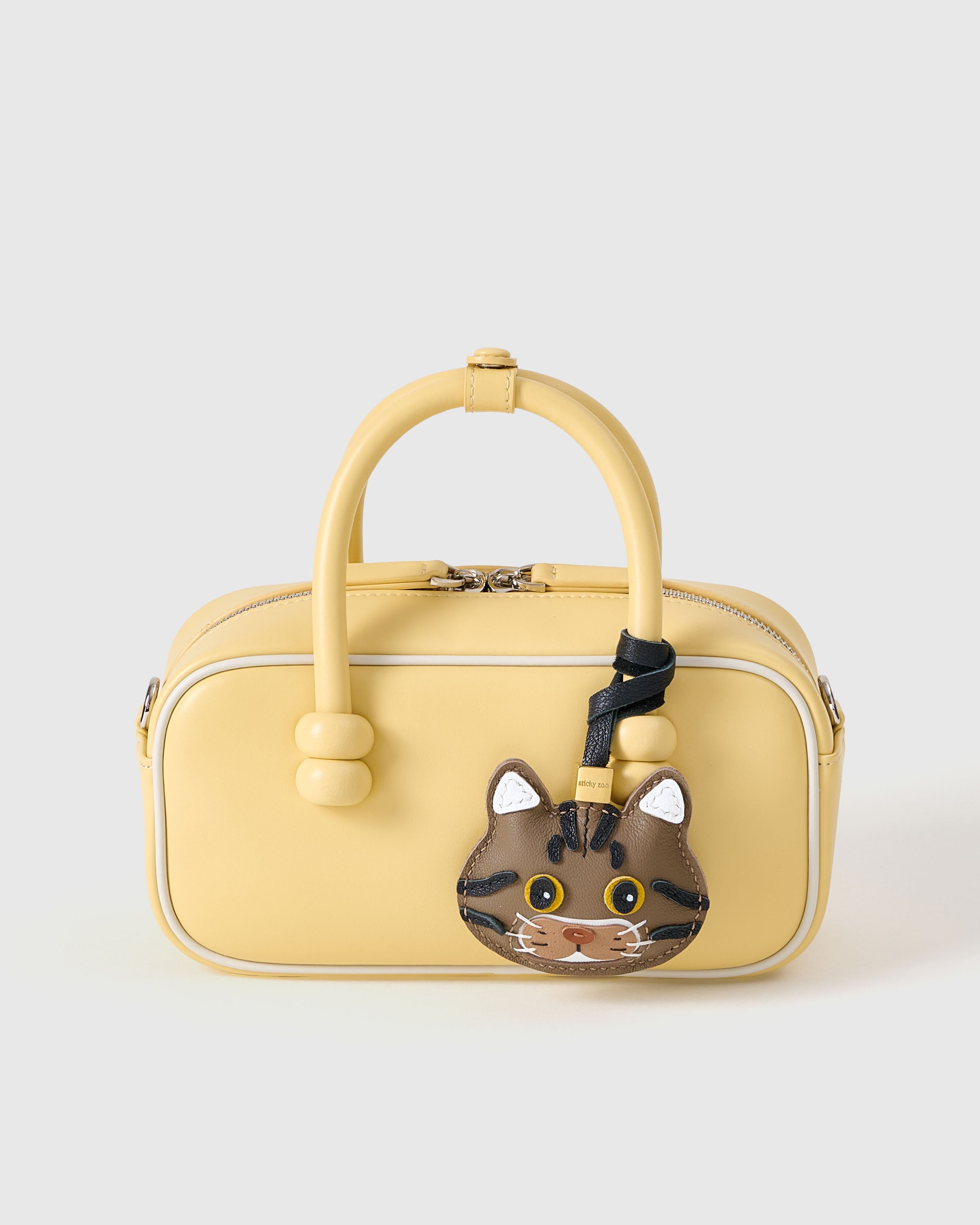 CHARM NG AMERICAN SHORTHAIR NA PUSA