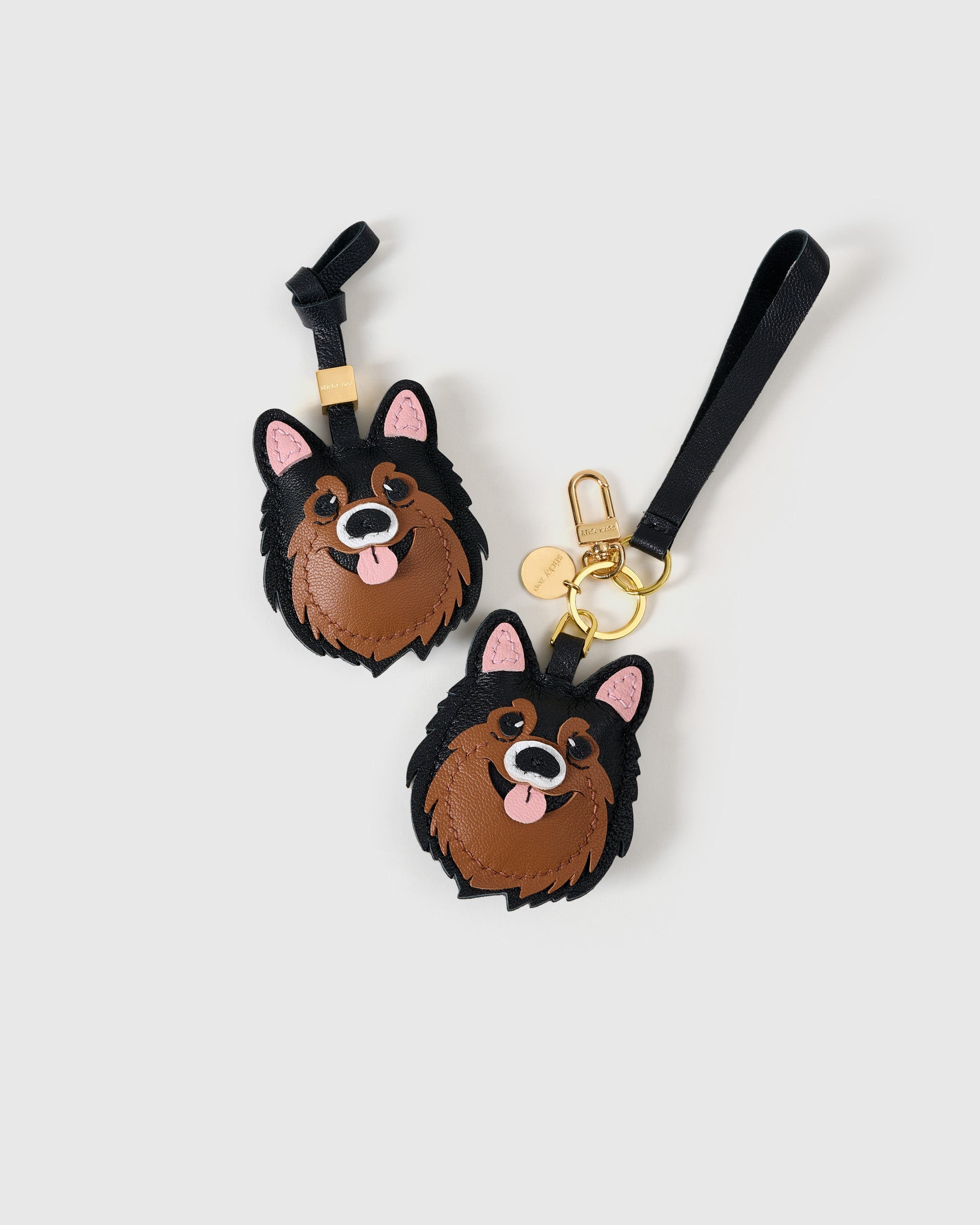 POMERANIAN NA CHARM