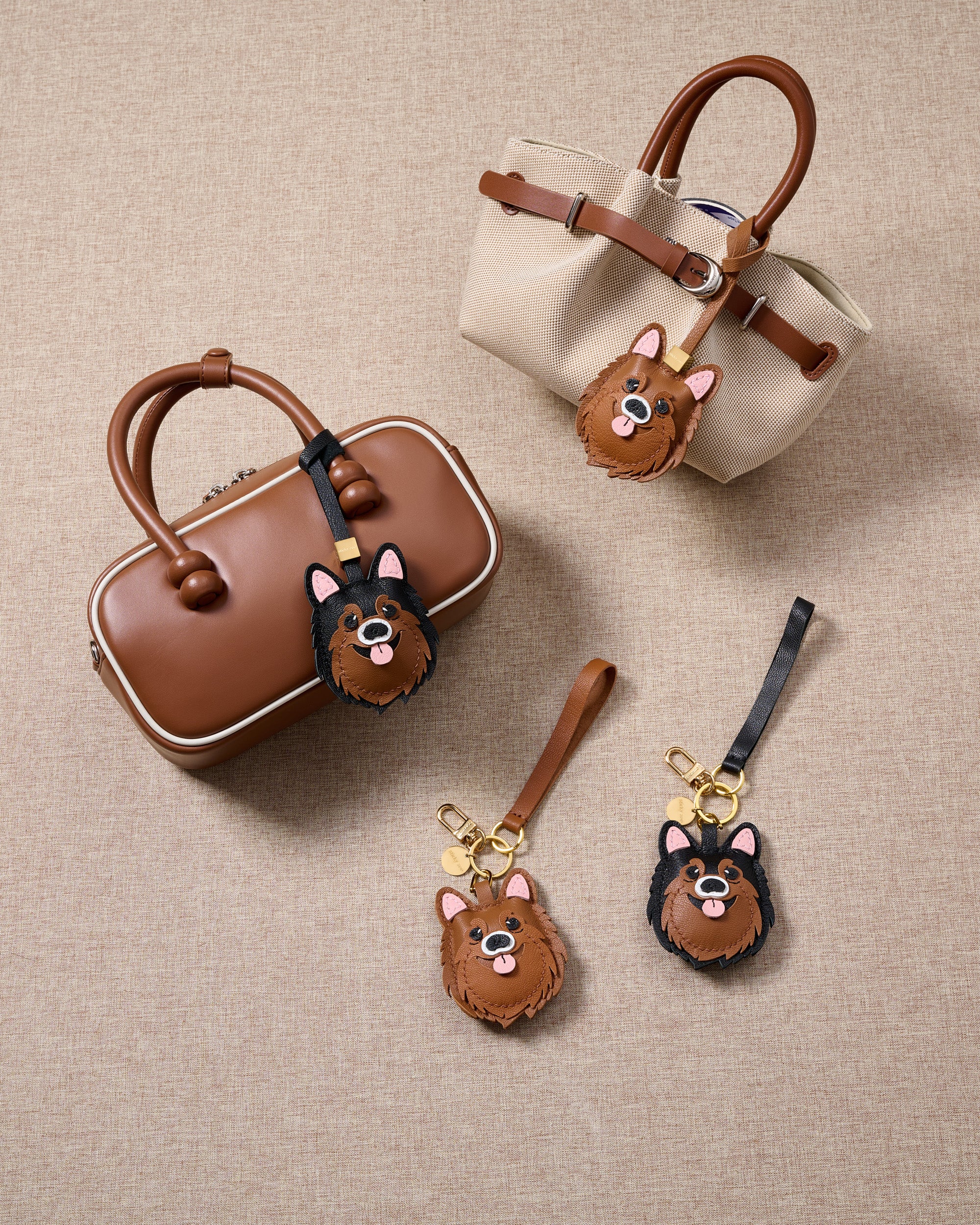 POMERANIAN NA CHARM