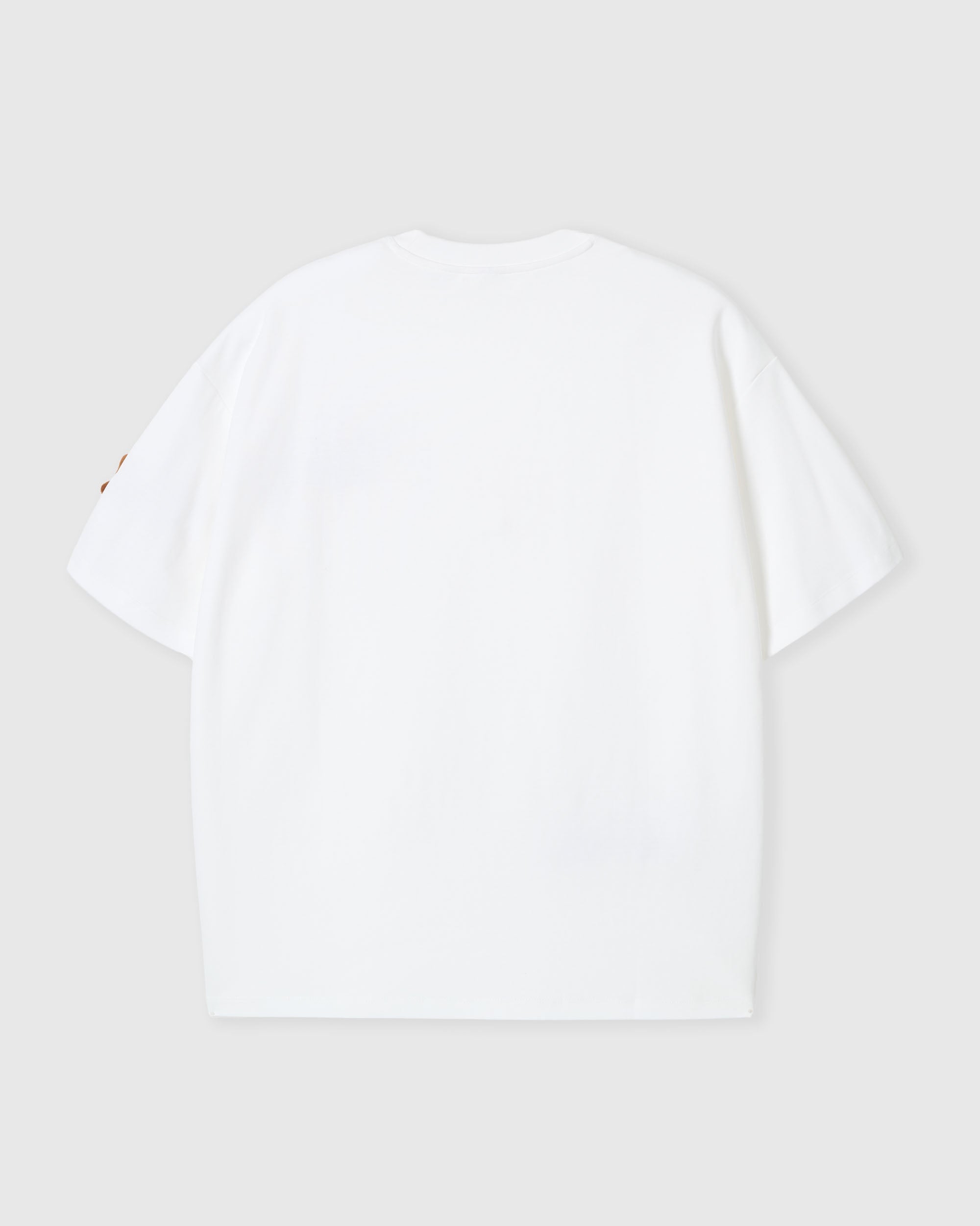 DACHSHUND PARADE T-SHIRT