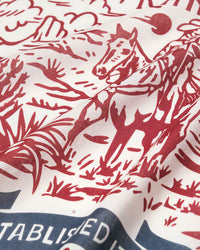 WESTERN RANCH SILK SCARF