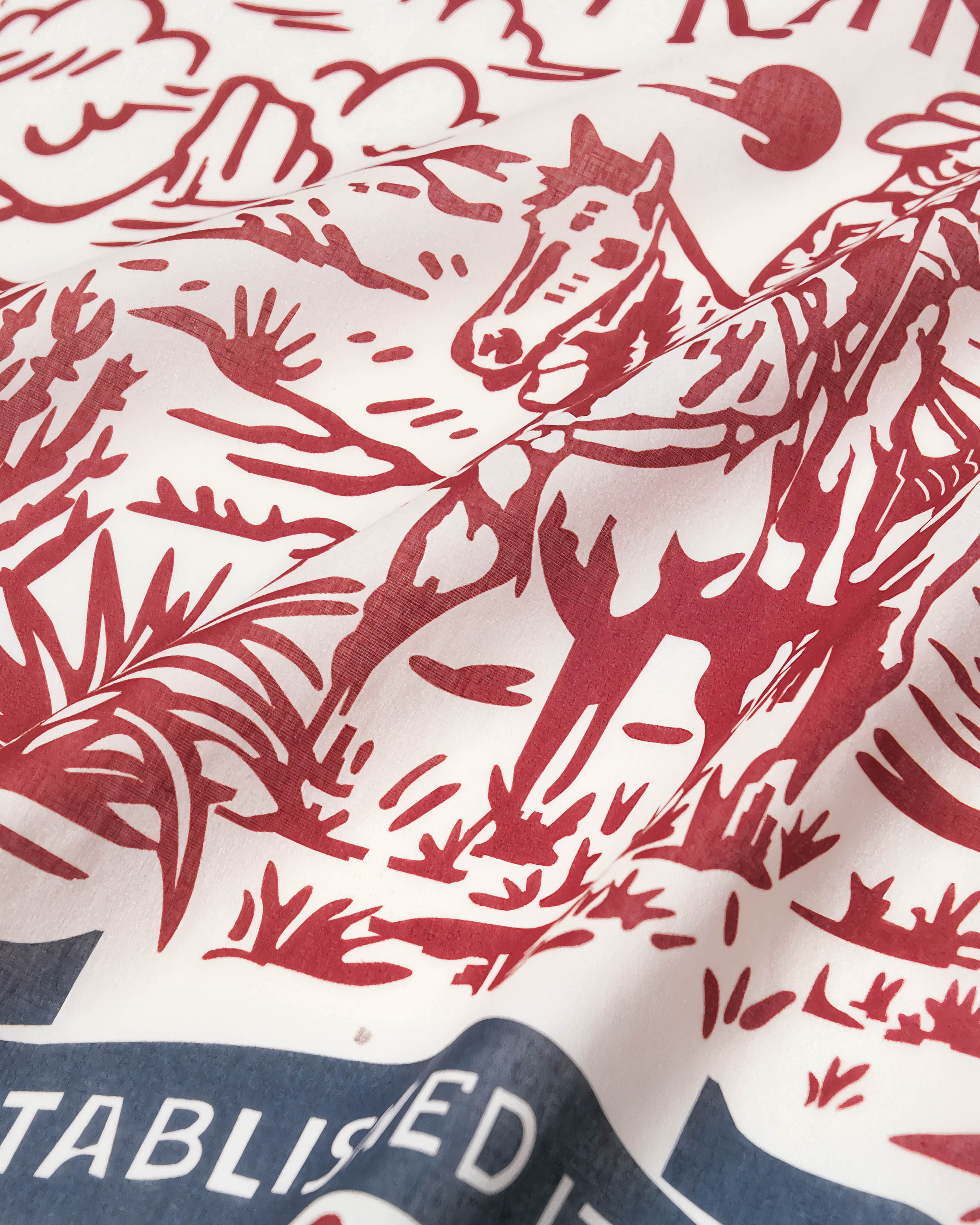 WESTERN RANCH SILK SCARF