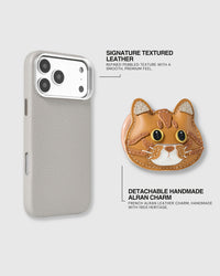 CASE NG CHARM NG PUSANG BRITISH SHORTHAIR