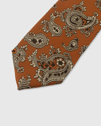 AMBER PAISLEY TIE