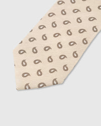 SAND PAISLEY TIE