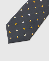 SLATE PAISLEY TIE