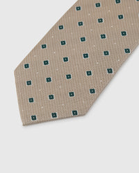 HUNTER PAISLEY TIE