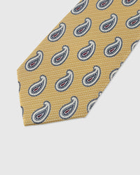 SAFFRON PAISLEY TIE