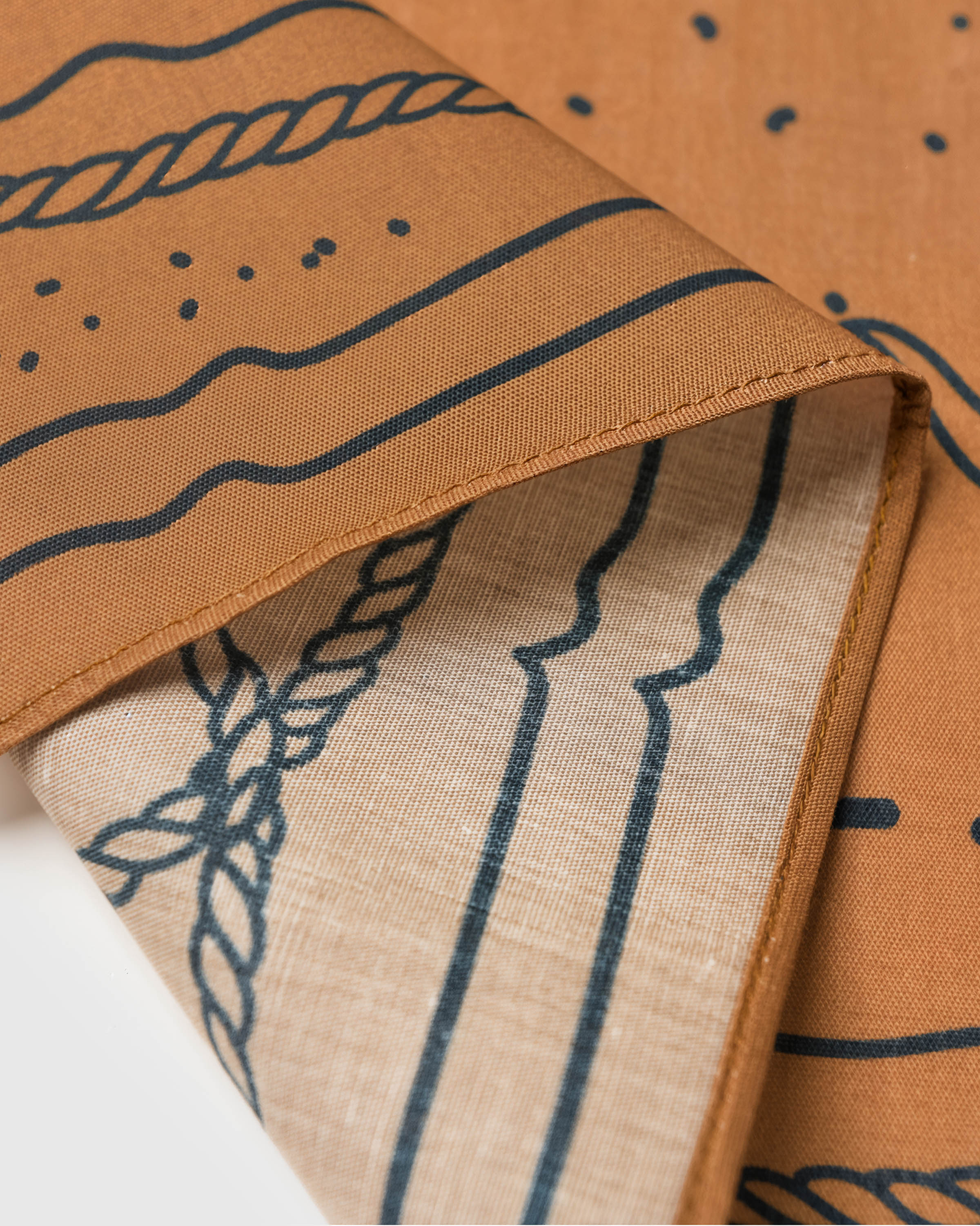 WESTERN BRIDLE SILK SCARF