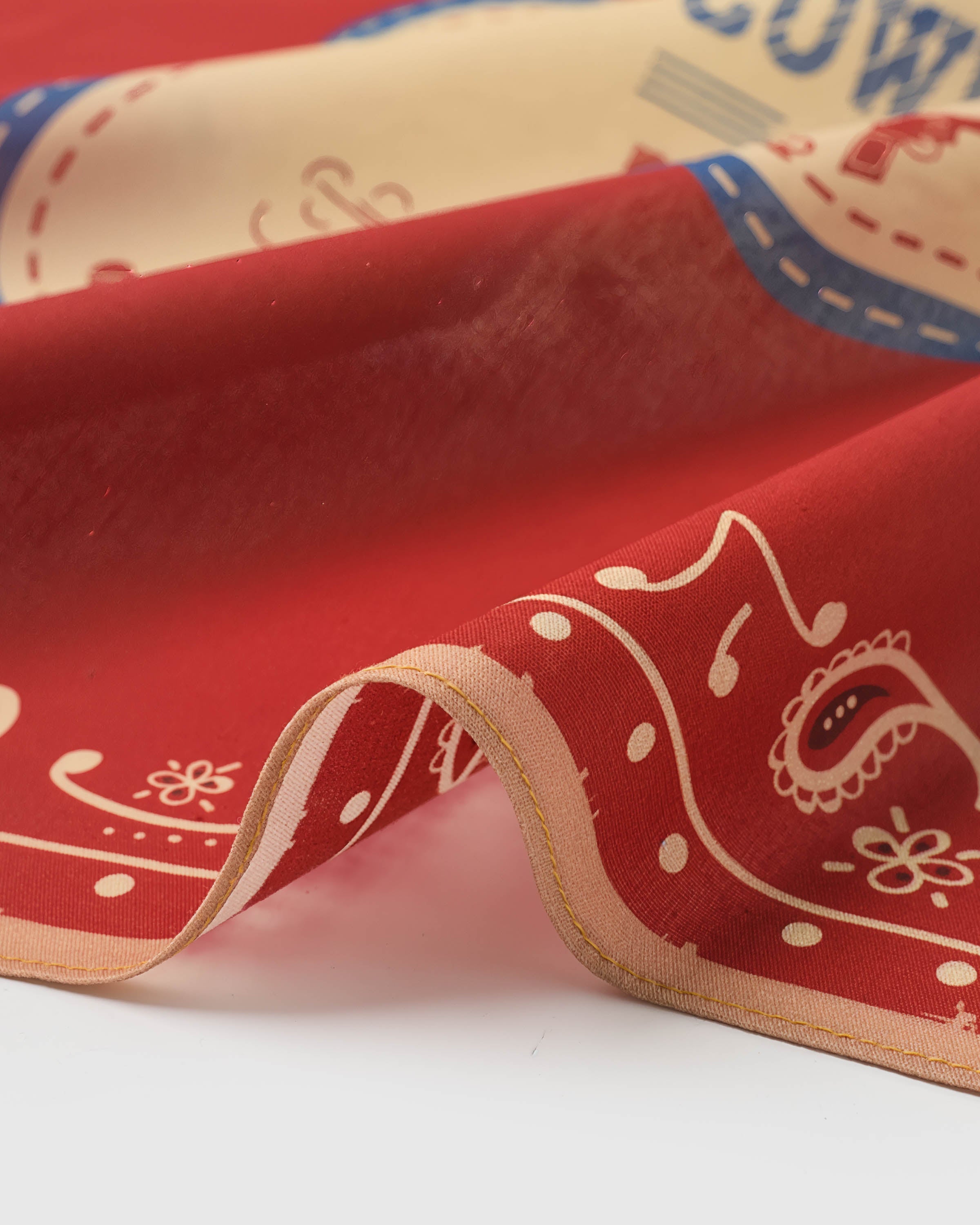 RODEO PAISLEY SILK SCARF