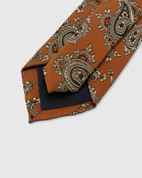 AMBER PAISLEY TIE