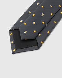 SLATE PAISLEY TIE