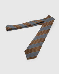 Full-length STICKYZOO Umber Slate Stripe Tie laid flat on white, showing the complete broad color-blocked diagonal stripes repeat and 145 × 8 cm proportions