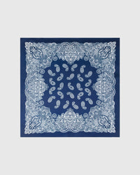 PORCELAIN PAISLEY SILK SCARF