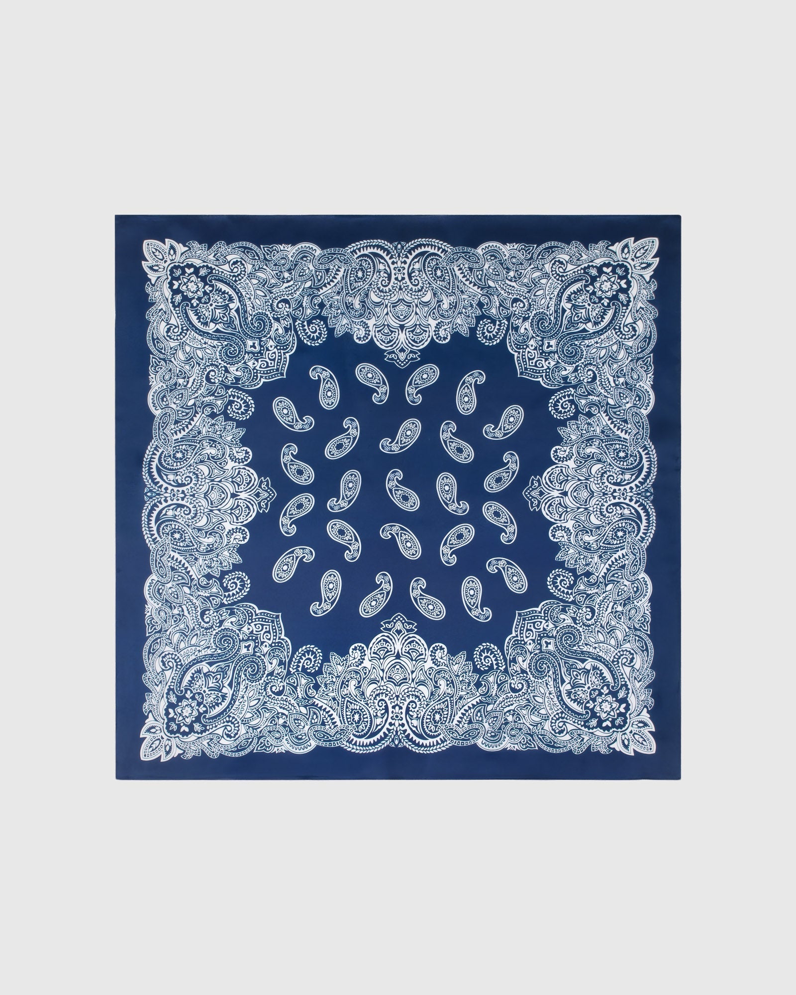 PORCELAIN PAISLEY SILK SCARF