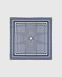 OPTICAL STRIPE SILK SCARF