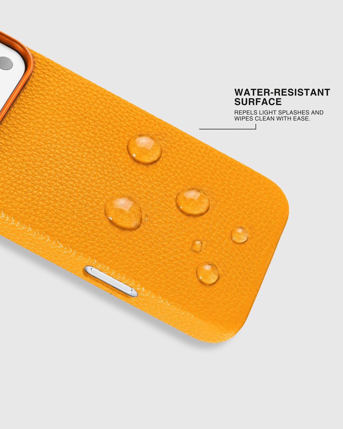 DALMATIAN CHARM CASE