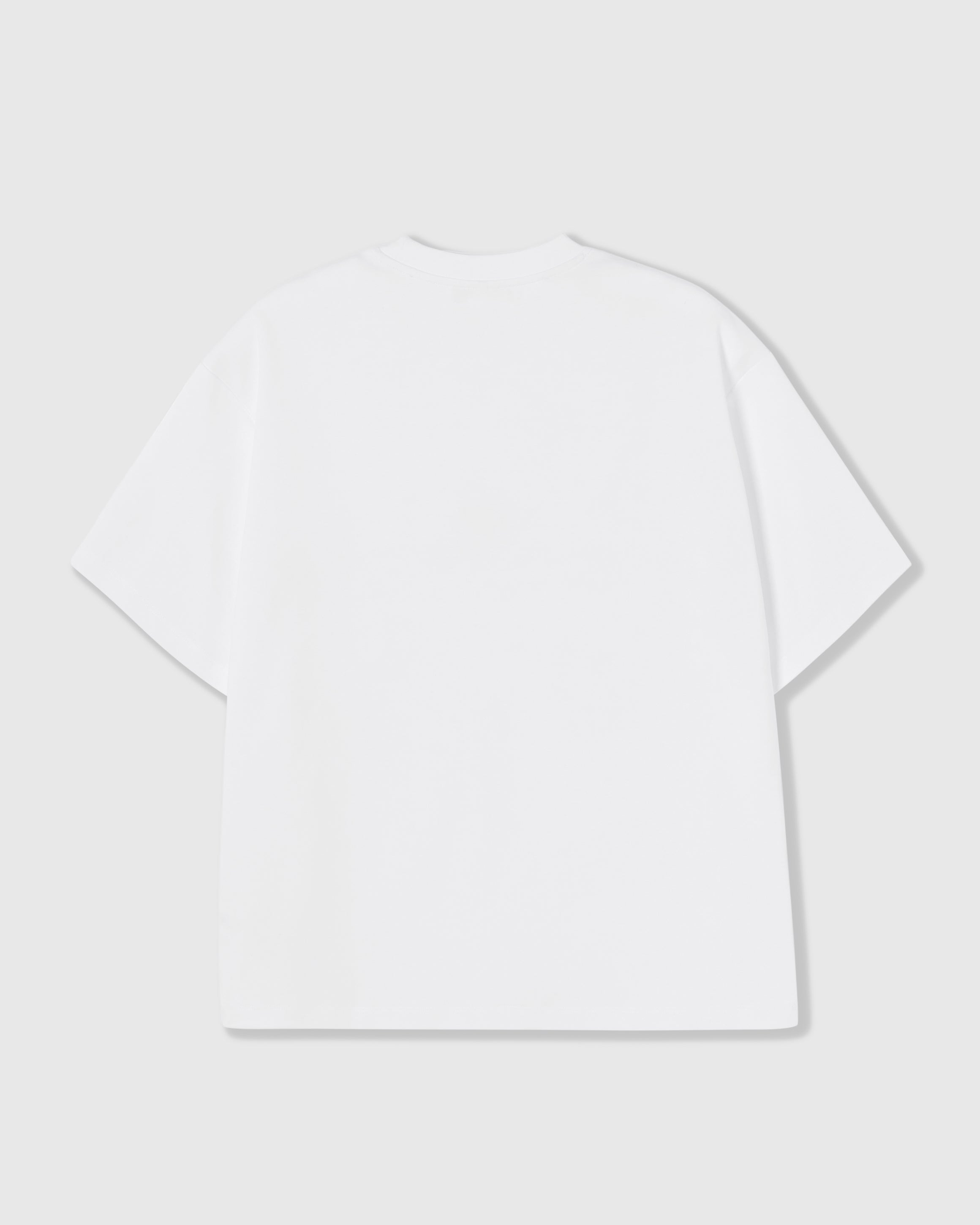 STRAWBERRY T-SHIRT