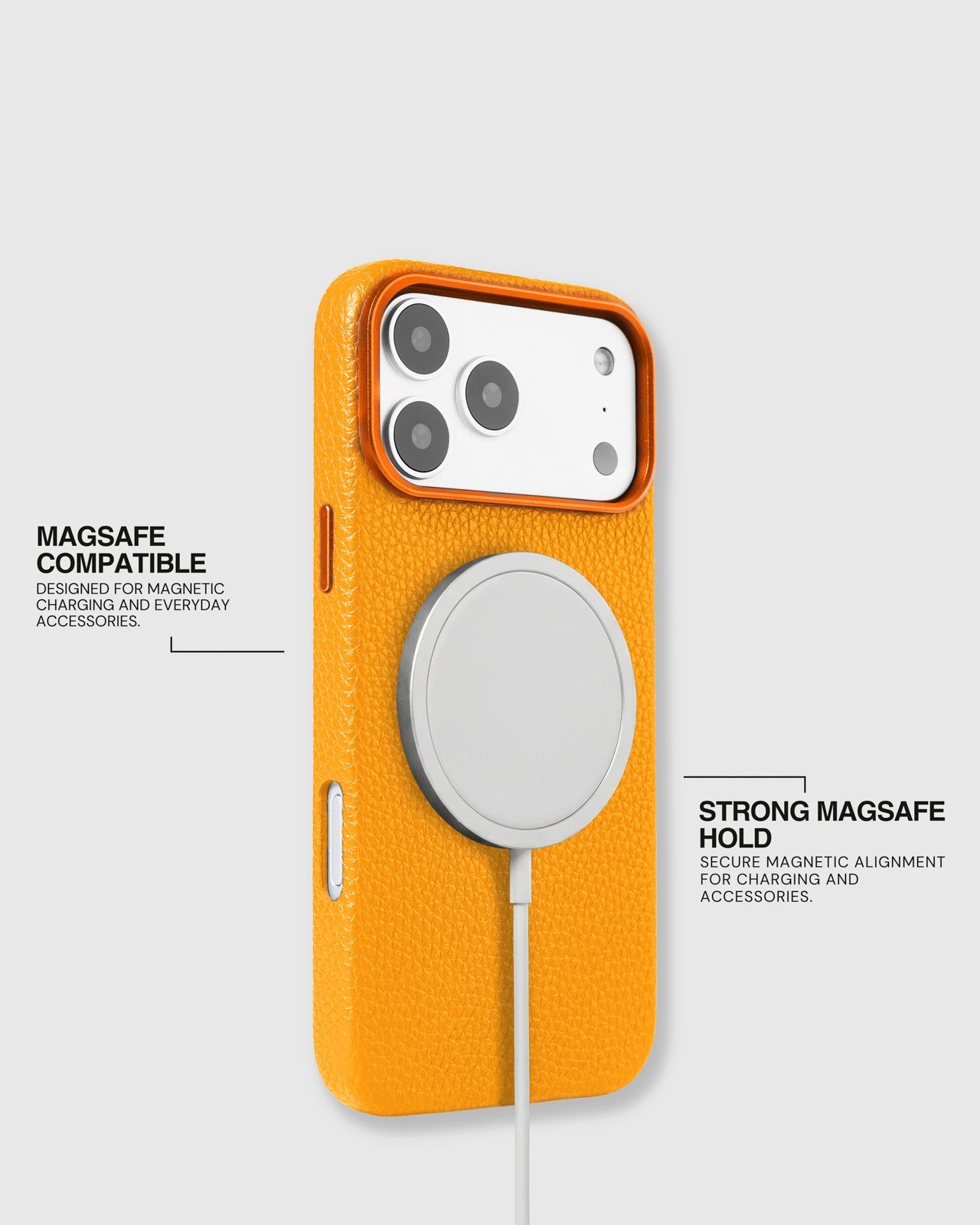 BEAR CHARM CASE