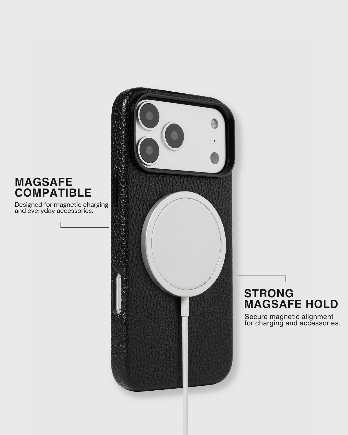 POODLE PUPPY CHARM CASE