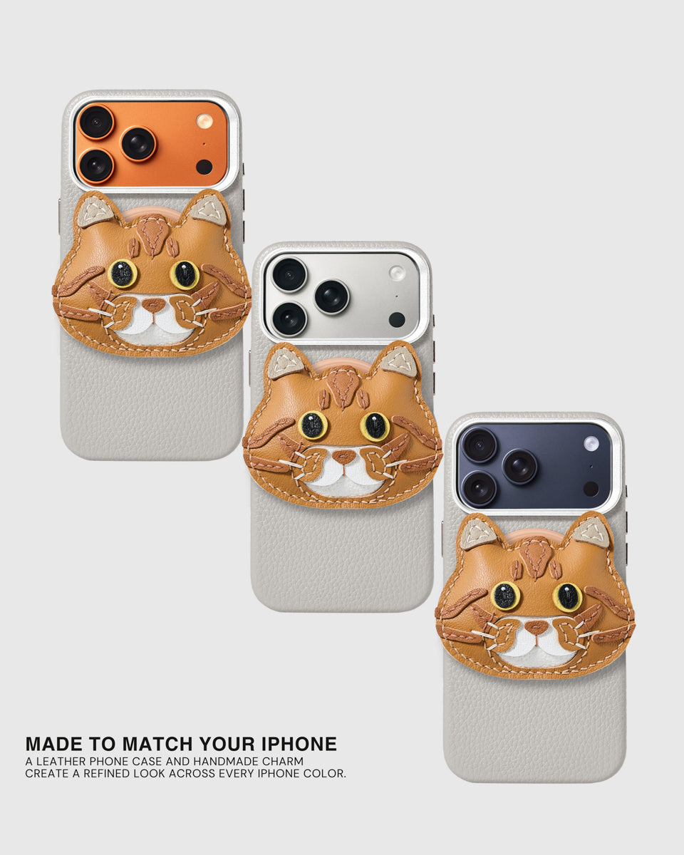 CASE NG CHARM NG PUSANG BRITISH SHORTHAIR