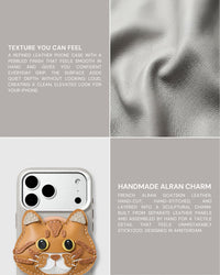 CASE NG CHARM NG PUSANG BRITISH SHORTHAIR